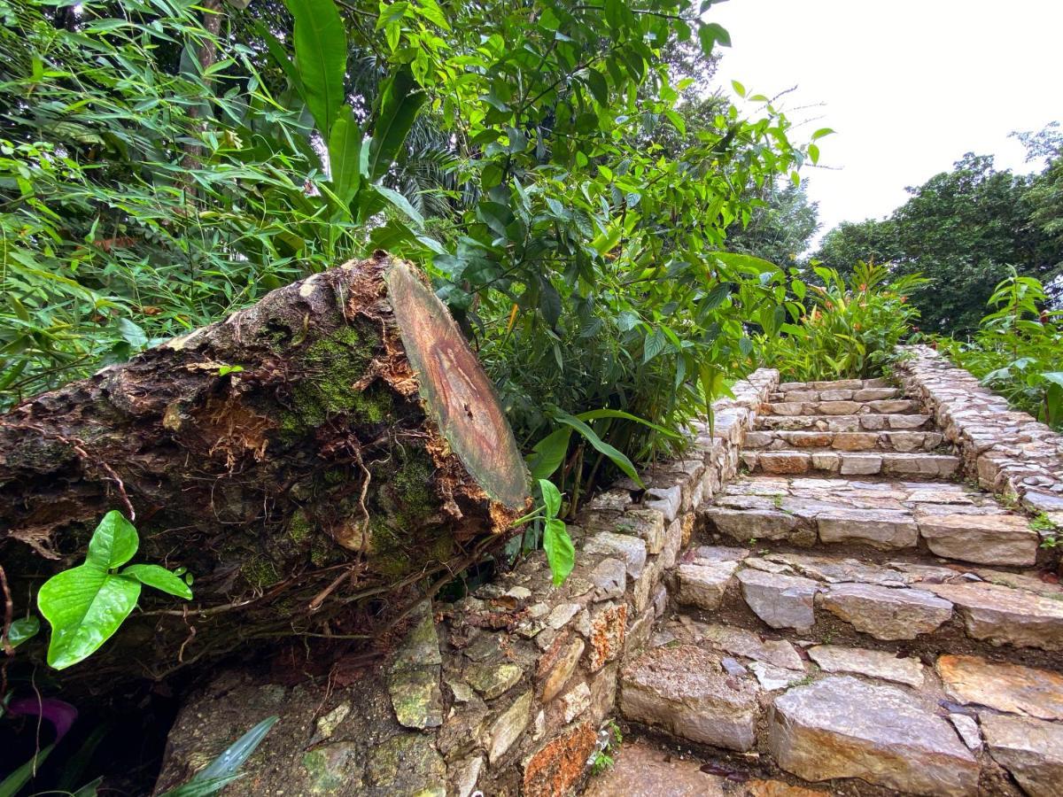 Hotel La Aldea Del Halach Huinic Palenque Eksteriør bilde