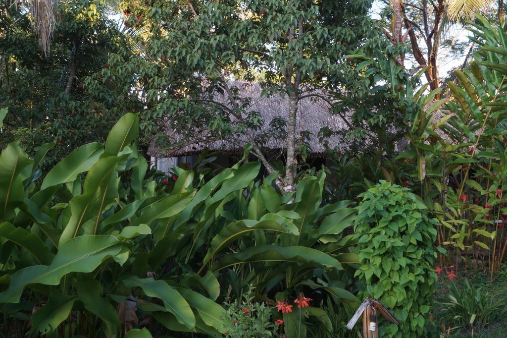 Hotel La Aldea Del Halach Huinic Palenque Eksteriør bilde