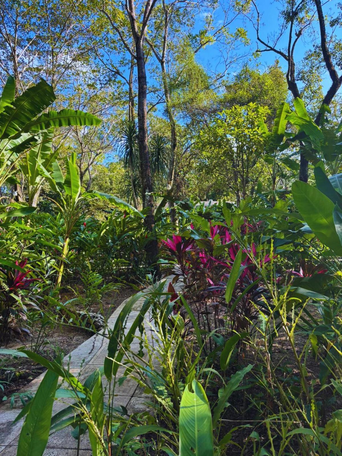 Hotel La Aldea Del Halach Huinic Palenque Eksteriør bilde