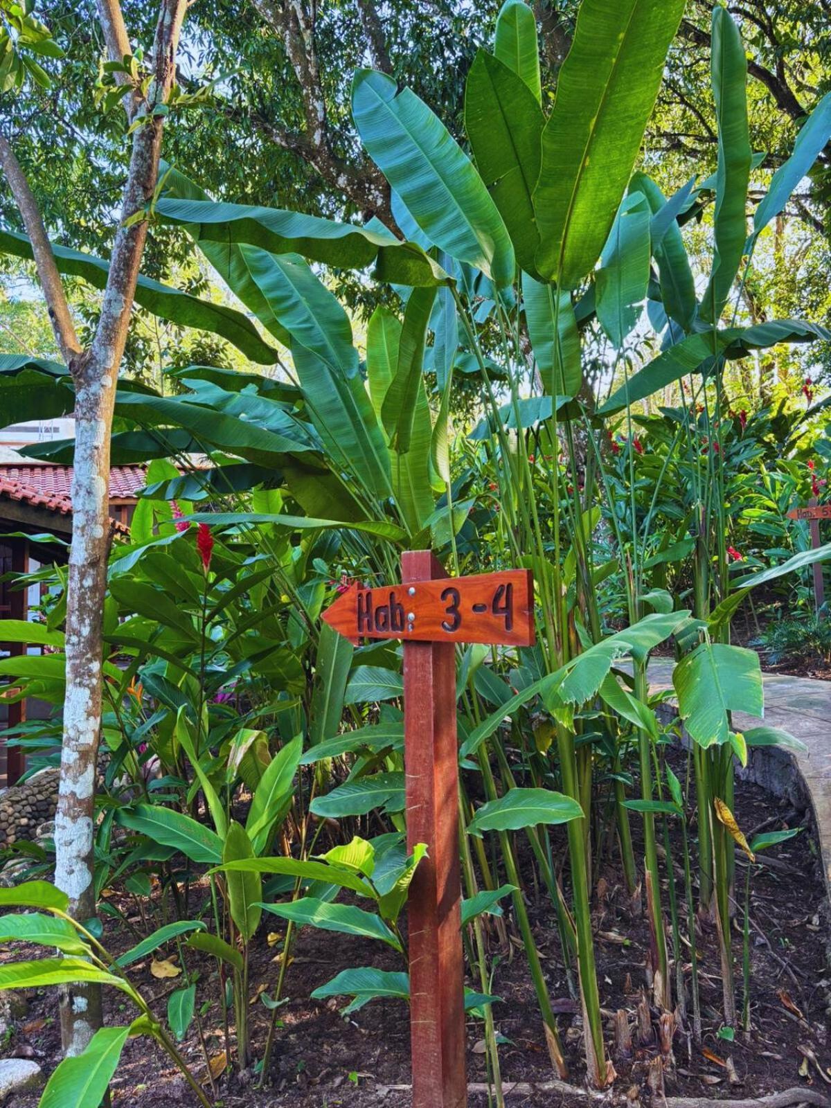 Hotel La Aldea Del Halach Huinic Palenque Eksteriør bilde