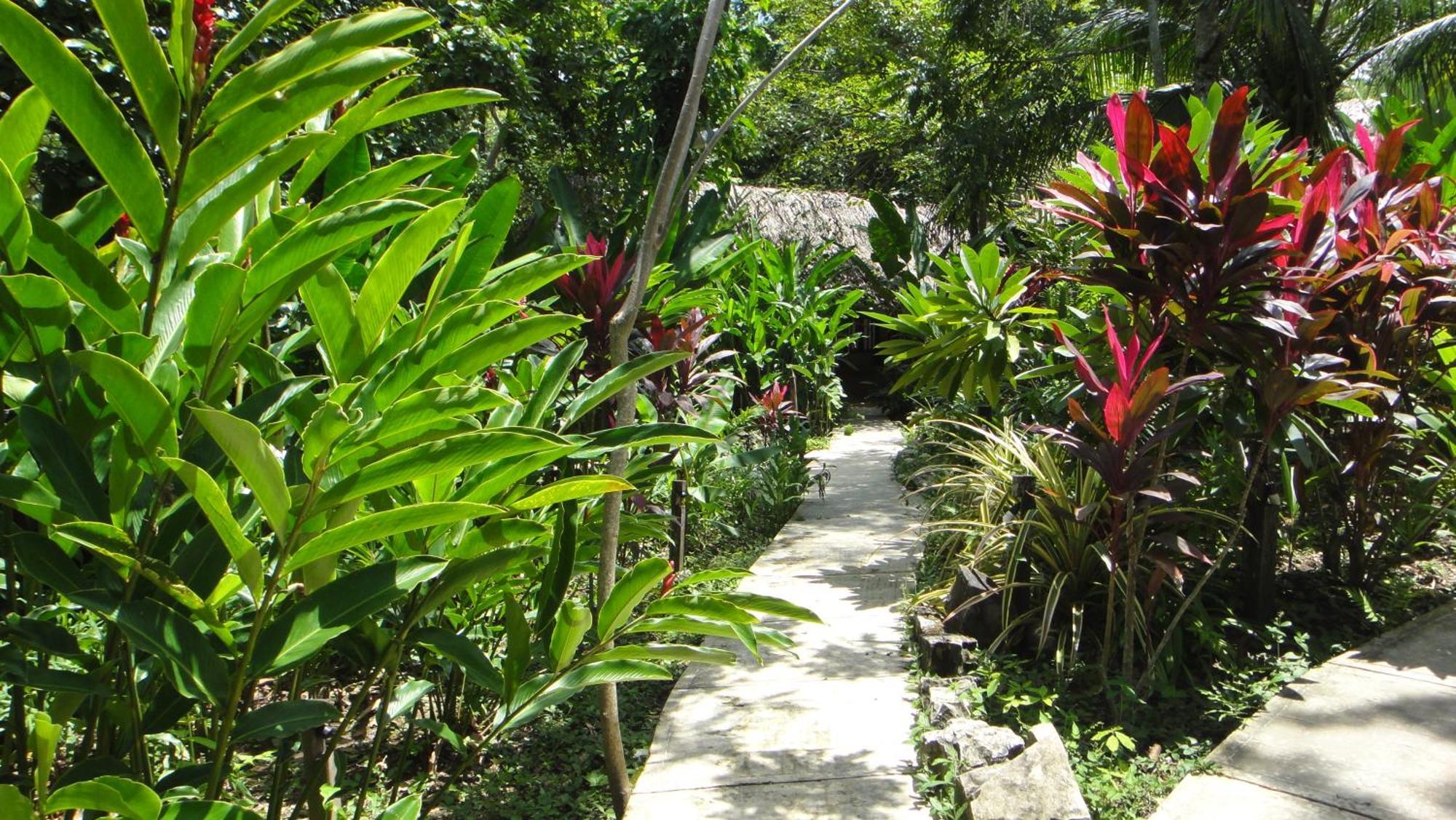 Hotel La Aldea Del Halach Huinic Palenque Eksteriør bilde