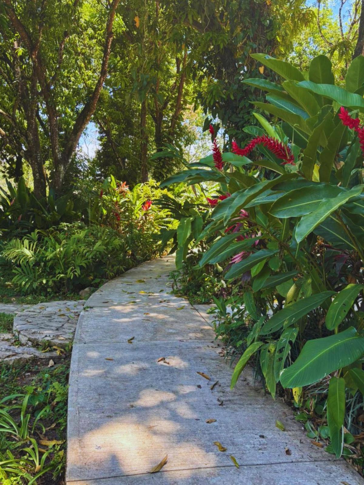 Hotel La Aldea Del Halach Huinic Palenque Eksteriør bilde
